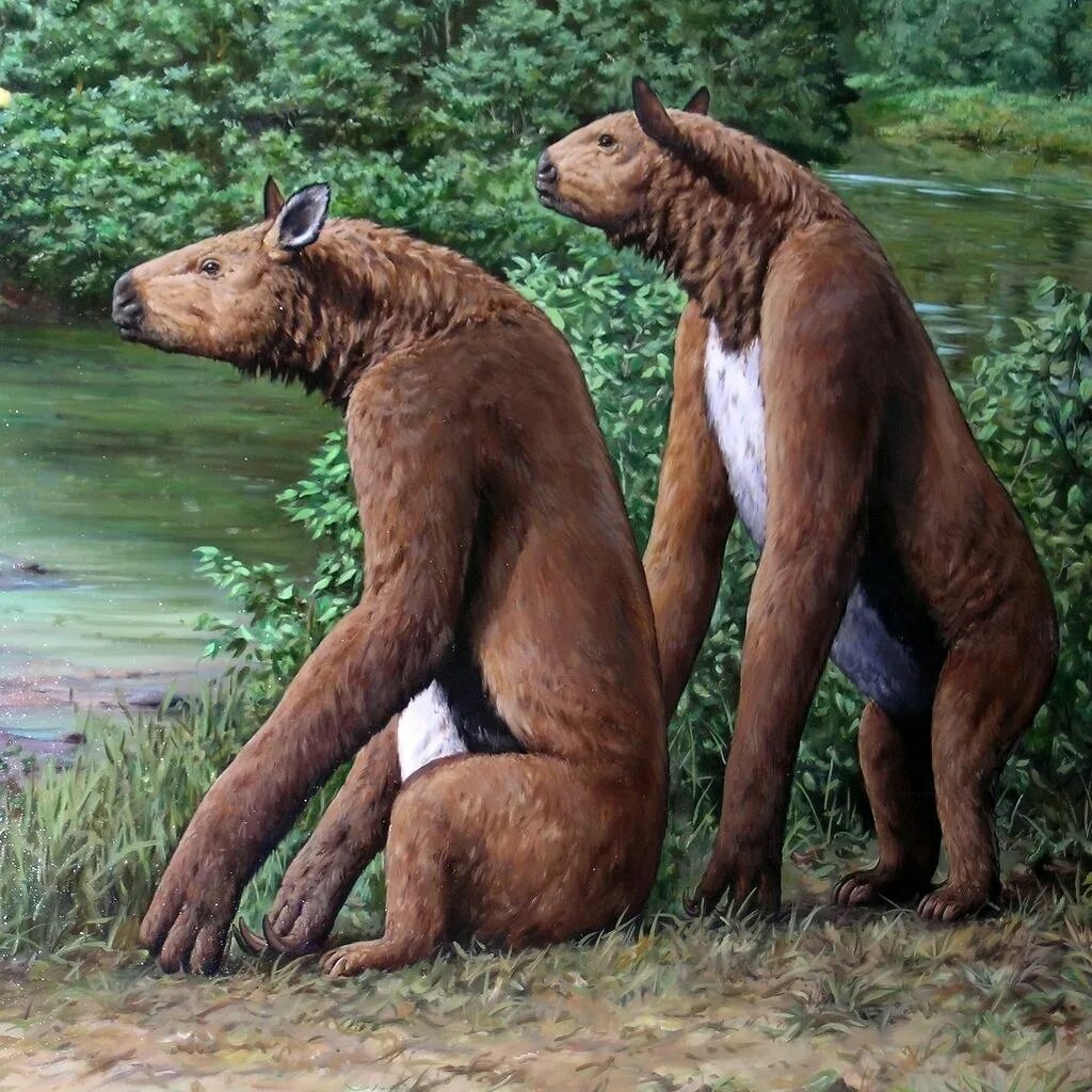Животные древности. Халикотерий. вымершие халикотерии. халикотерии в плейстоцене. древние животные халикотерий.