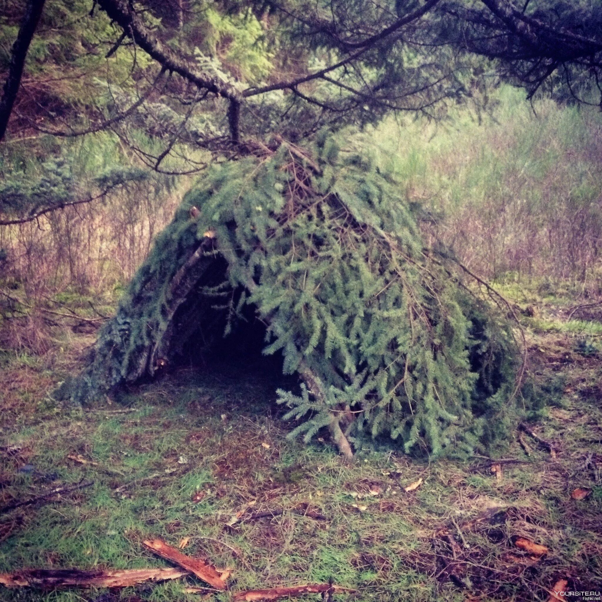 Укрытие из земли. Шалаш из веток. Шалаш из веток. Bushcraft укрытие. Укрытия сомам.