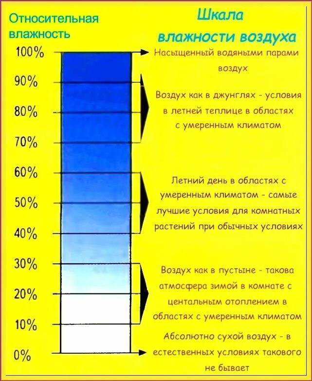 Значение влажности дома