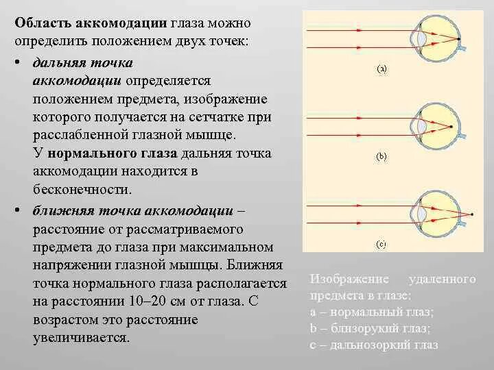 Расстояние аккомодации. Область аккомодации. Дальняя точка аккомодации. Аккомодация глаза. Ближняя точка аккомодации.