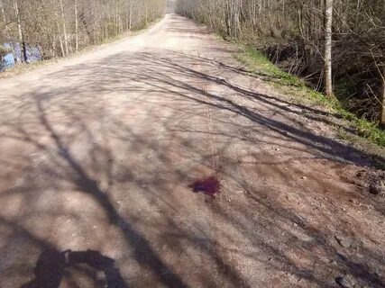 Подслушано любытино новгородская область