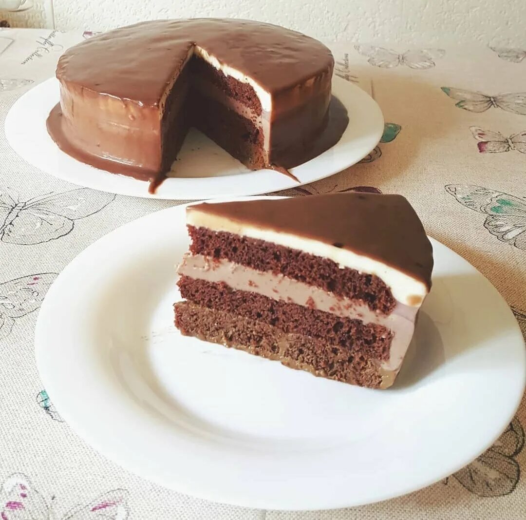 Шоколадный торт желатин. Муссовый торт три шоколада. Торт три шоколада муссовый торт. Шоколадный бисквитный торт. Шоколадный бисквит для торта.