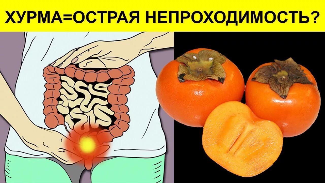 Хурма при поносе
