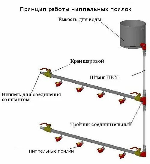 Монтаж бройлера kotelnayapodklyuch. Ниппельная поилка для кур монтаж схема. Ниппельная система поения для бройлеров. Чертеж ниппельной поилки для кур. Схема сборки ниппельной поилки для птиц.