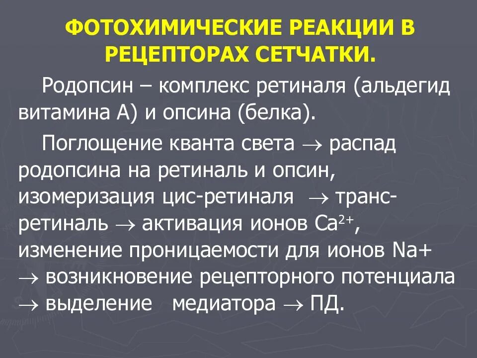 Кванта распад. Фотохимические реакции в рецепторах сетчатки. Фотохимические процессы в рецепторах сетчатки. Фотохимические процессы в рецепторах сетчатки глаза.. Фотохимические процессы в сетчатке физиология.