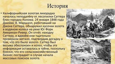 Очаг золотой лихорадки 8
