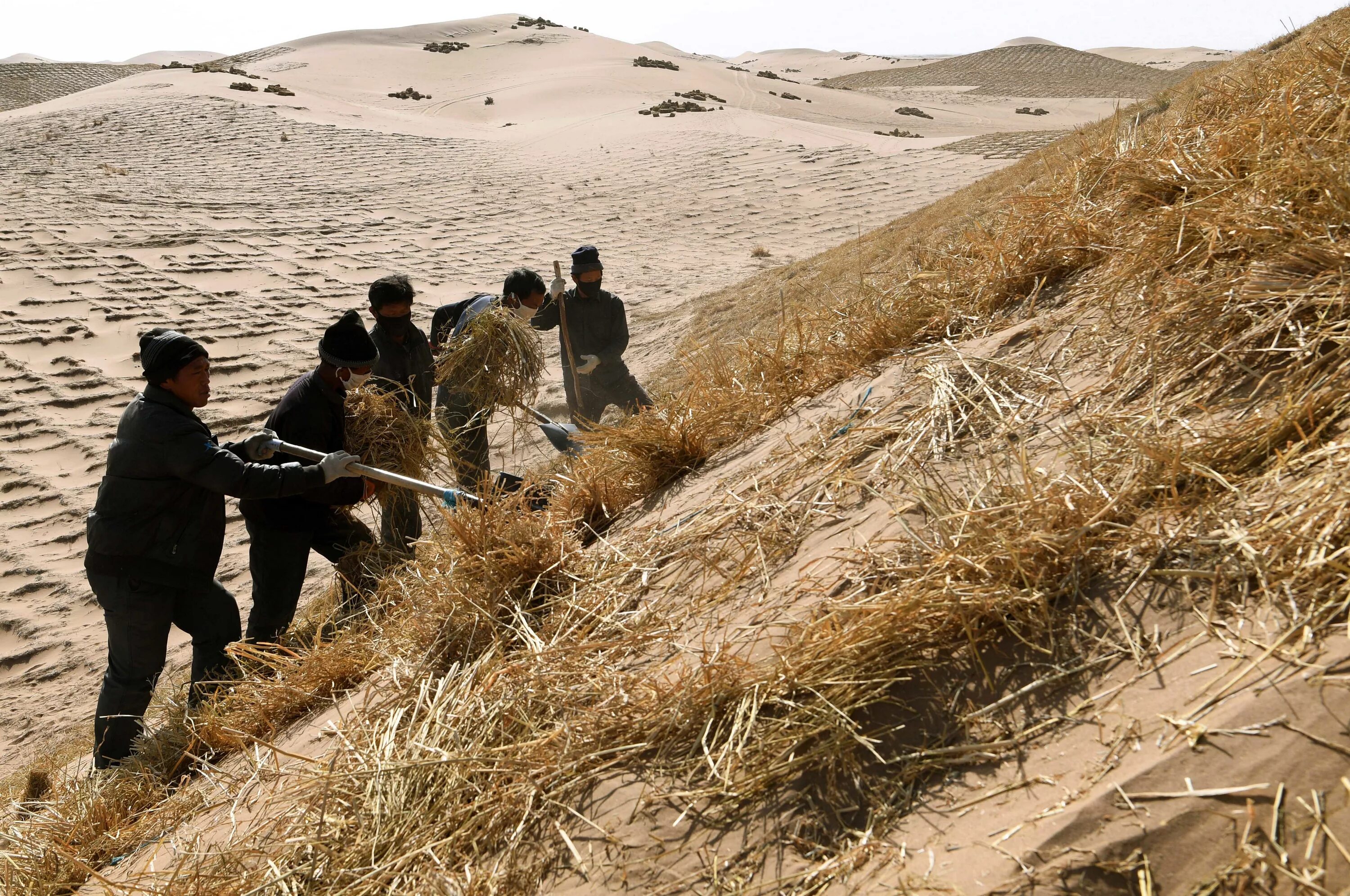 Государственные и народные земли в китае. К землям в китае относились. К землям в китае относились. Оазис миньцинь. Китайская богиня сиванму.