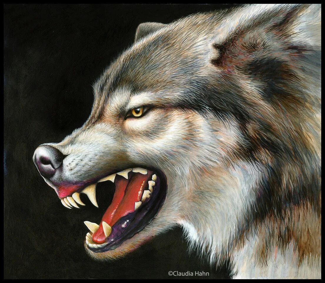 Зоновская татуировка волка. Тюремные татуировки оскал тигра. Волк зек. Волк зек. Фильм зеков оставили на острове овчарки.