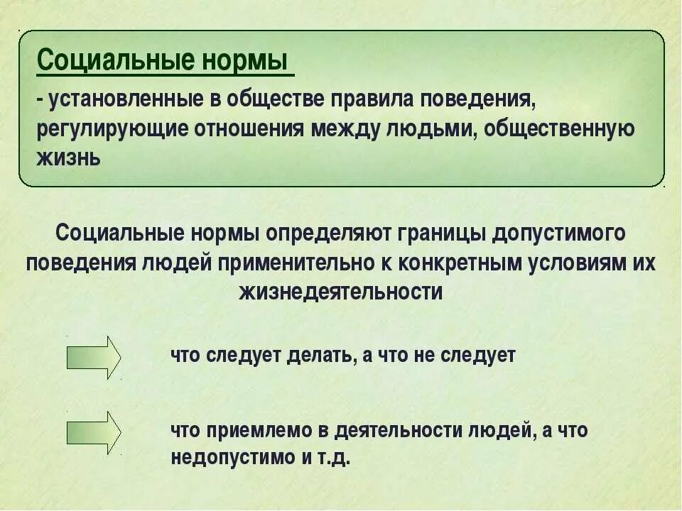 Дайте определение понятиям социальная норма