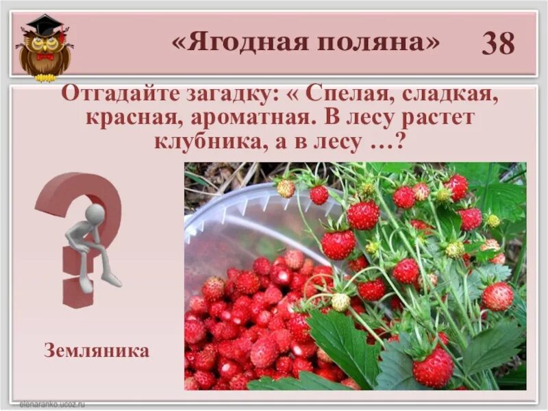 Спелую землянику какое число