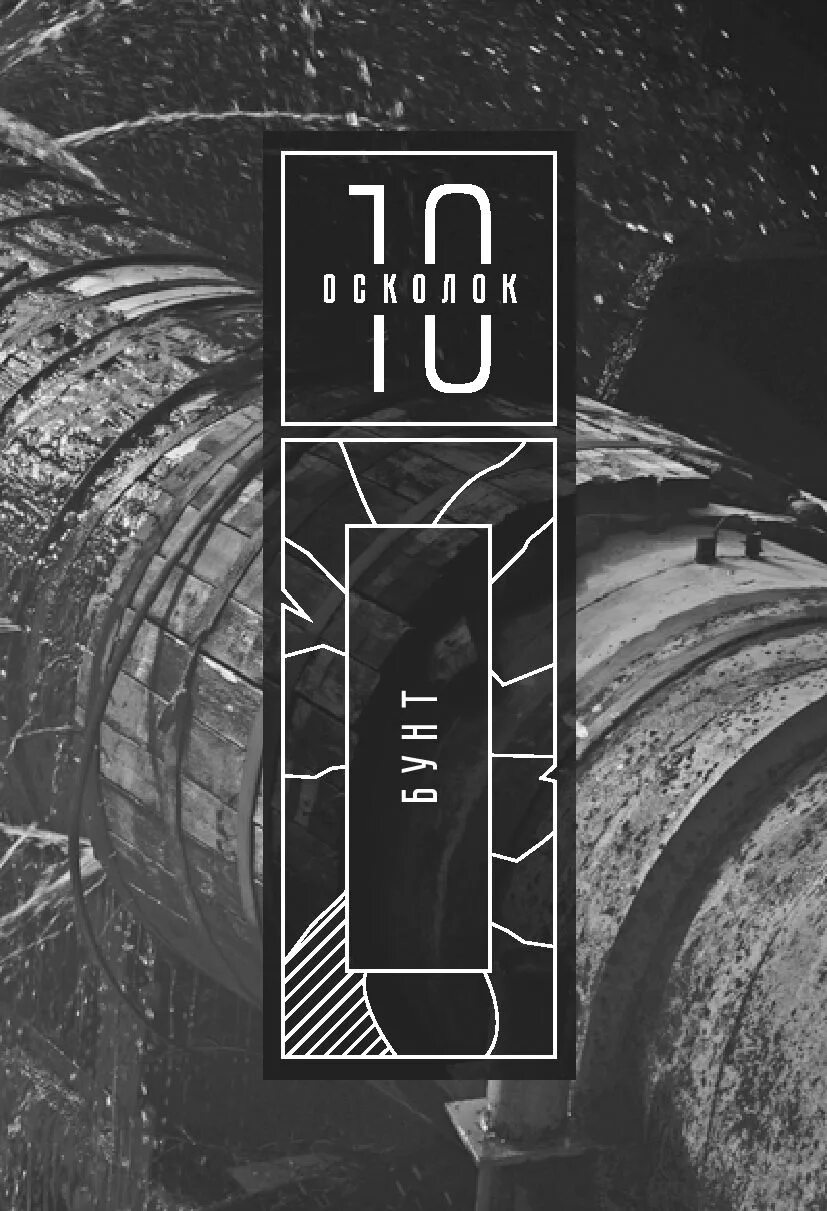 13 осколков читать. 13 осколков книга. книга 13 осколков личности.