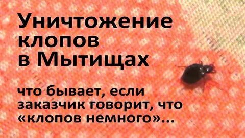 Сэс мытищи