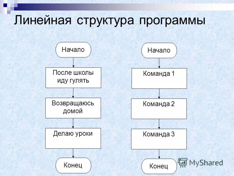 Линейная программа информатика. Линейная программа информатика