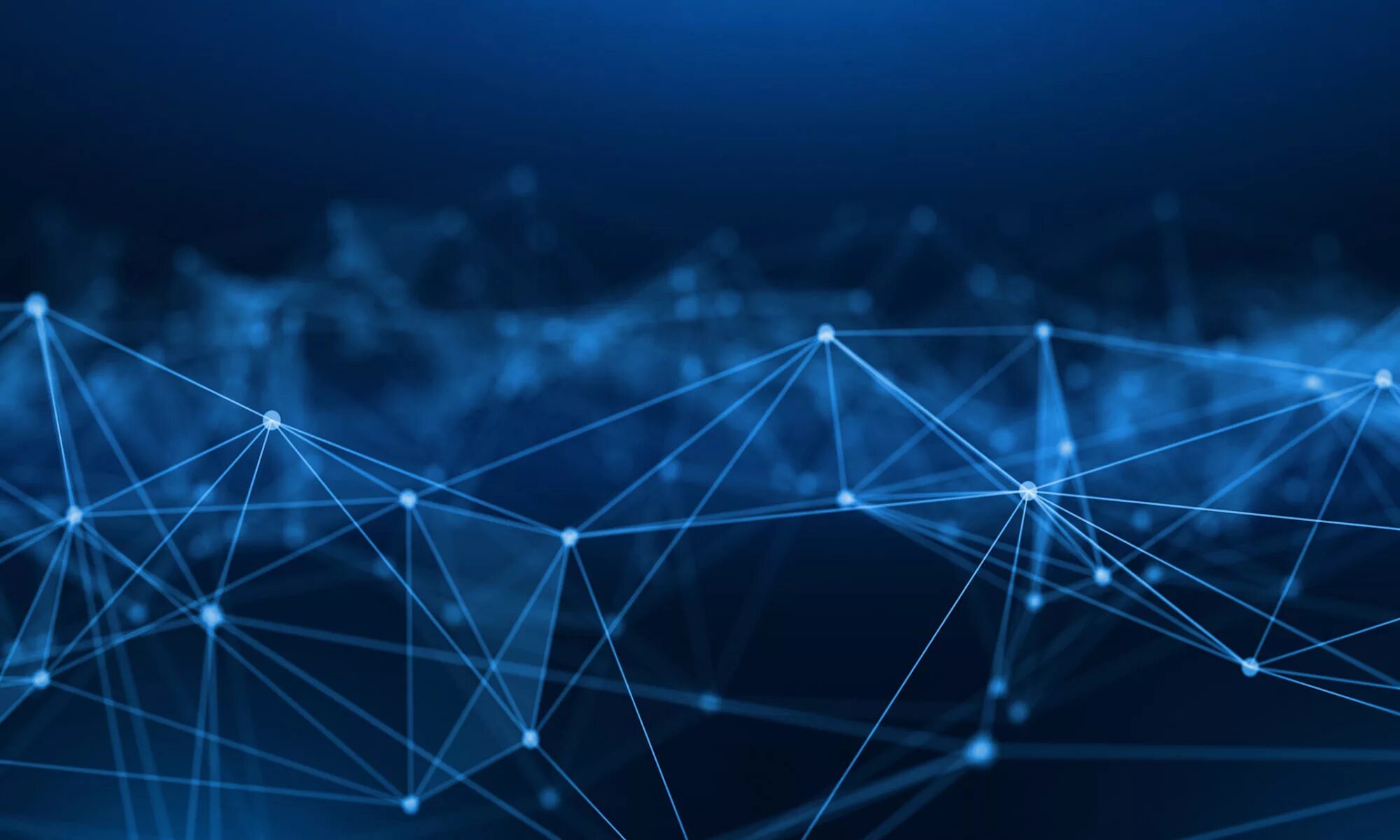 Network connection. Network connection