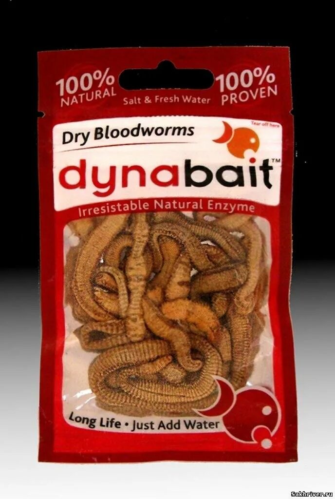 Сухой червь. Наживка DYNABAIT Dry Bloodworms. Сушеный червь нереис. DYNABAIT червь морской.