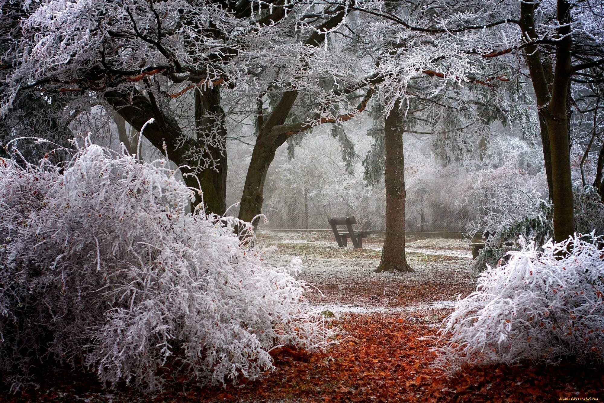 Засыпанная снегом тропинка. Первый снег осенью. Дети зимой. Ноябрь природа. Осень снег.