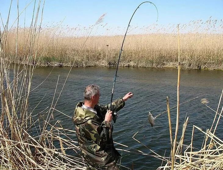 Астрахань Волга река рыбалка. Рыбалка на Волге Астраханская область. Астрахань Волга рыбалка. Рыбалка в Астрахани. Где сейчас рыбачат