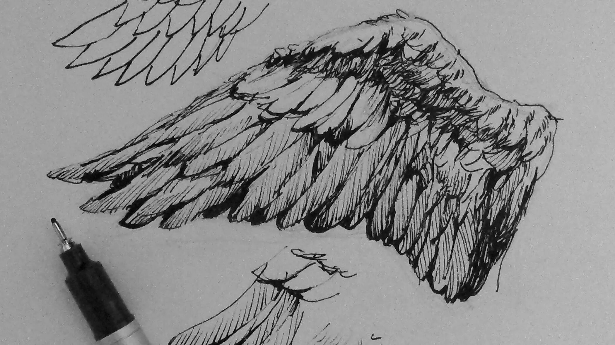 Drawing pens