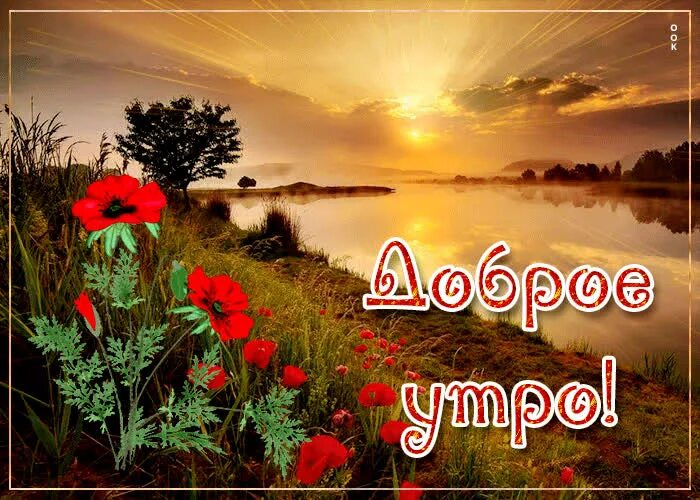Красивого утра картинки с надписями. Открытки с добрым утром с рассветом. Доброе утро рассвет с надписью. Доброе утро красивый рассвет. Новая коллекция открыток с добрым утром.