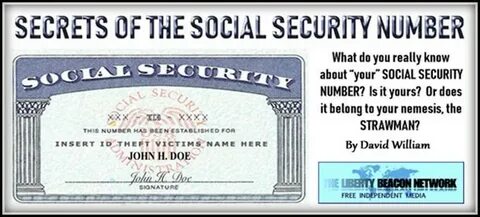 T me ssn number санкт петербург
