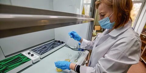 Материалы для исследования гриппа