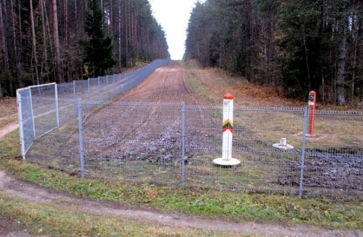 Граница между народом. Забор на границе Латвии и Беларуси. Забор на границе Литвы и Беларуси. Забор на границе России Белоруссии. Граница Латвии и Литвы.