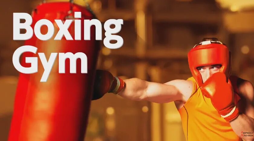 Nintendo boxing. Свитч бокс. Нинтендо бокс. Нинтендо свитч бокс. Boxer Nintendo.