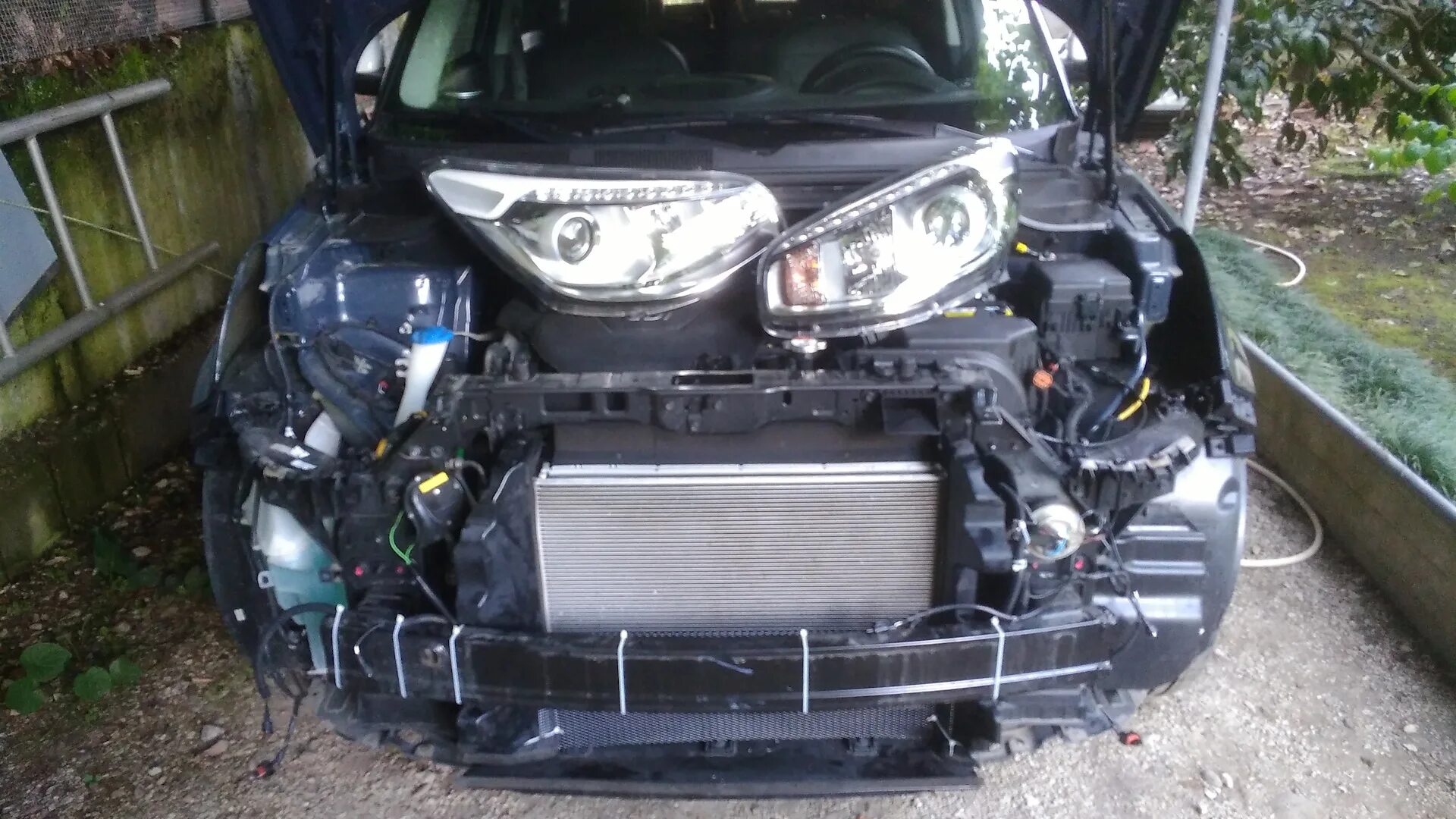 Звуковой сигнал - KIA Ceed (3G), 1,4 л, 2018 года аксессуары DRIVE2