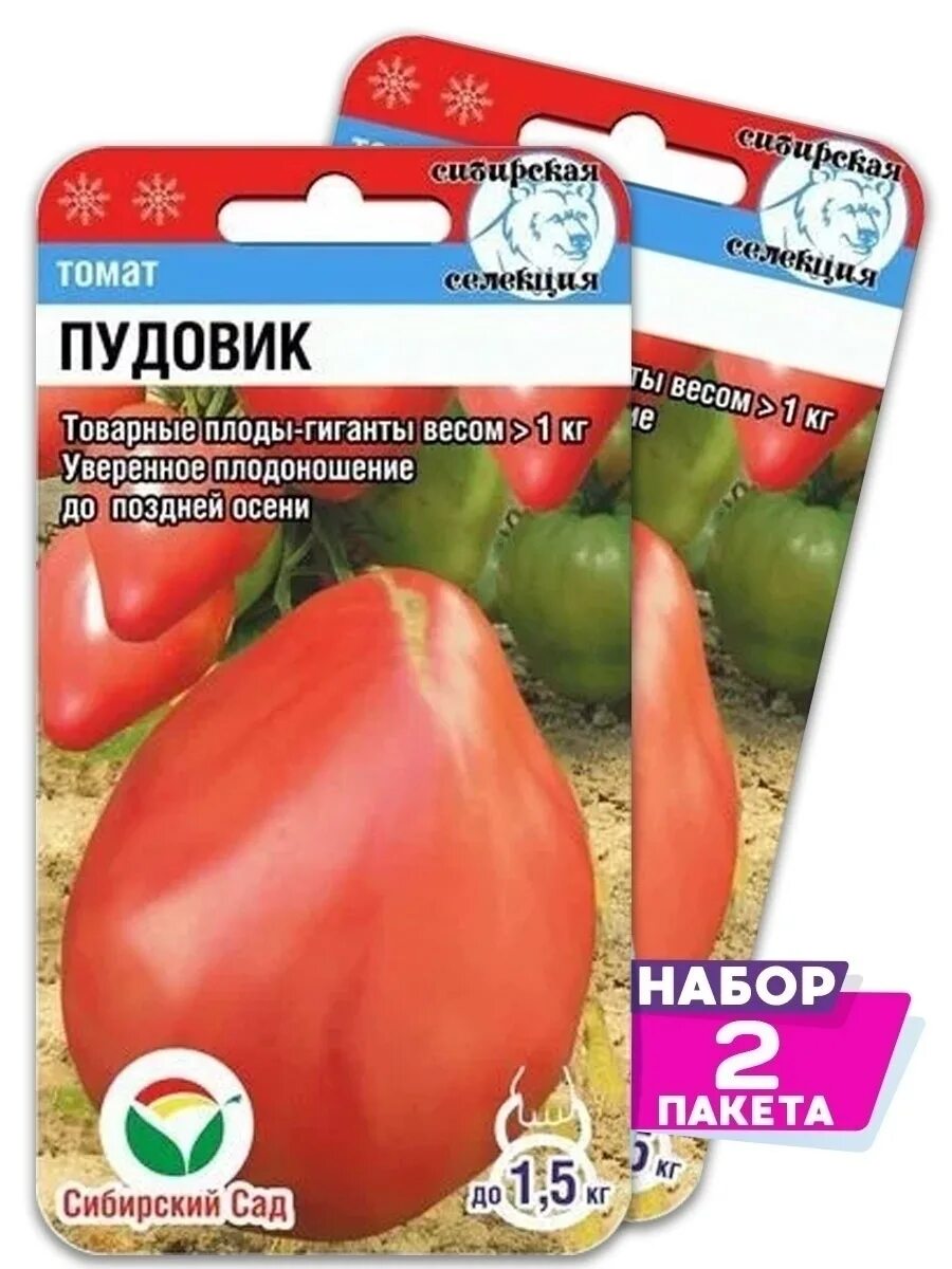 томат пудовик. помидоры сибирский гроздевой. томат пудовик характеристика и описание сорта отзывы. сорт томатов севрюга. томат пудовик севрюга.