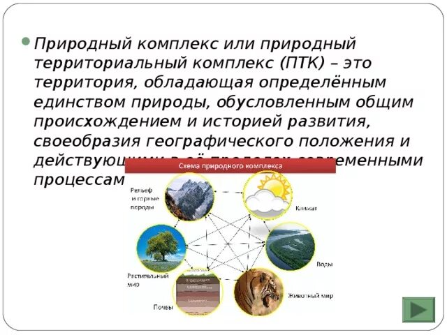 Характеристика природного территориального комплекса. ПТК природно территориальный комплекс. Природные комплексы Евразии. Природные территориальные комплексы Евразии. Схема природного комплекса.