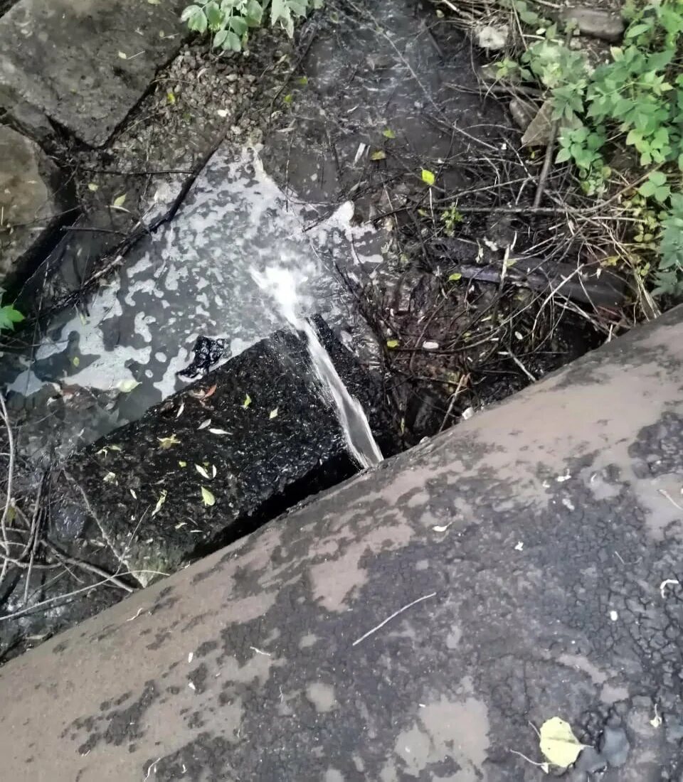 Старооскольский водоканал. Загрязнение Белгородской области. Река Оскол Сорокино. Загрязненные реки старого Оскола. Старый Оскол загрязнение.