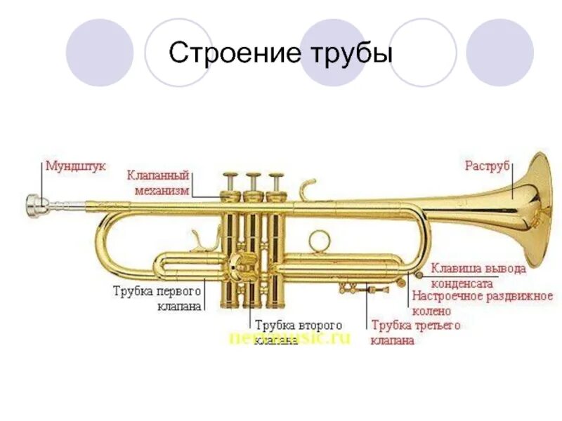 Строение трубы музыкальный инструмент. Труба музыкальный инструмент вид сбоку. Название частей трубы музыкального инструмента. Строение духовой трубы. Тромбон слова