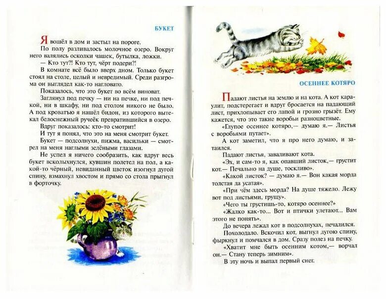 Отрывок из основной части в киреевой машин букет. Сказка машин букет киреева. Отрывок из рассказа. Машин букет киреева текст. Текст сказки машин букет.