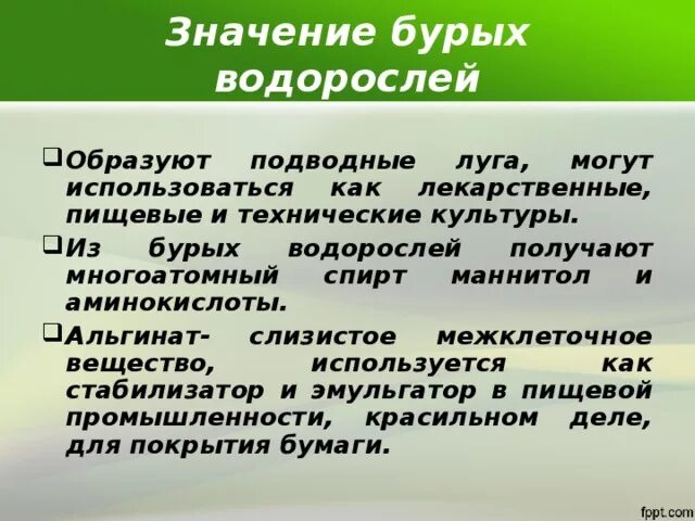 Каково значение бурых водорослей в жизни