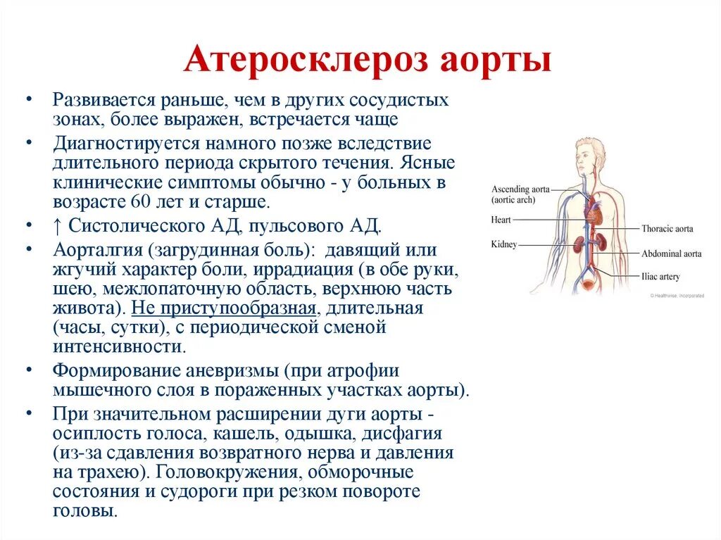 Проявления атеросклероза аорты. Атеросклероз грудного отдела аорты симптомы. Клинические проявления атеросклероза аорты. Атеросклероз сосудов грудного отдела аорты. Атеросклероз аорты что это