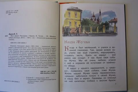 Дуров наша жучка читать