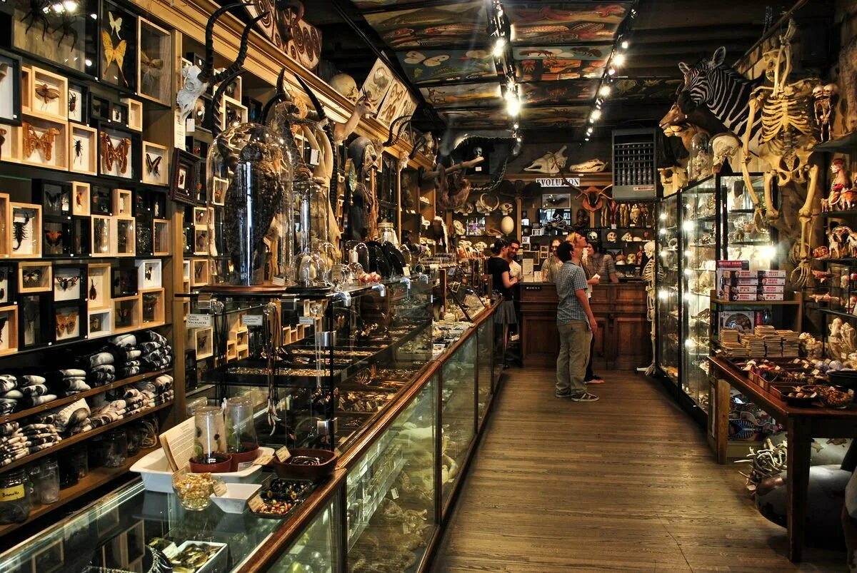 Meet your shop