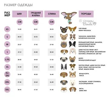 Как узнать размер собаки для одежды