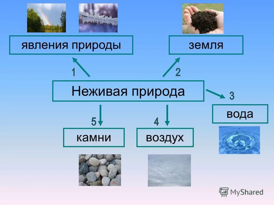 Почва живая или неживая. Неживая природа. неживая природа почва. почва объект неживой природы. объекты живой природы.