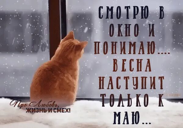 Надоела зима. Опять зима наступает. Зима юмор. Опять пришла зима. Опять зима наступает.