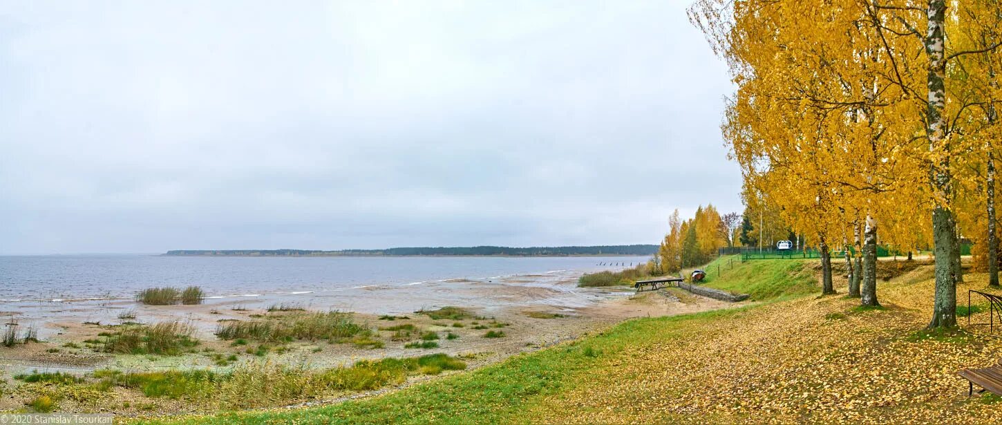 Погода милюшино рыбинский. Деревня Милюшино Рыбинское водохранилище. Весьегонск Рыбинское водохранилище. Рыбинское водохранилище Весьегонск пляж. Весьегонск Тверская область.