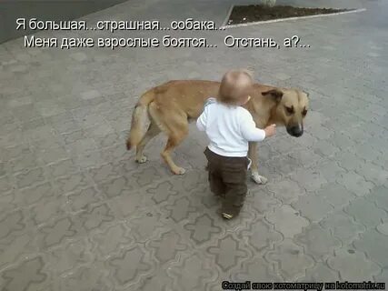 Подожди отстань