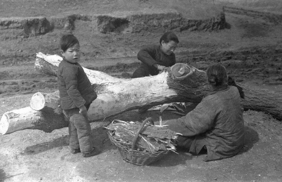 Самый большой голод. Великий голод в китае мао цзэдун. великий китайский голод 1959-1961. великий китайский голод.
