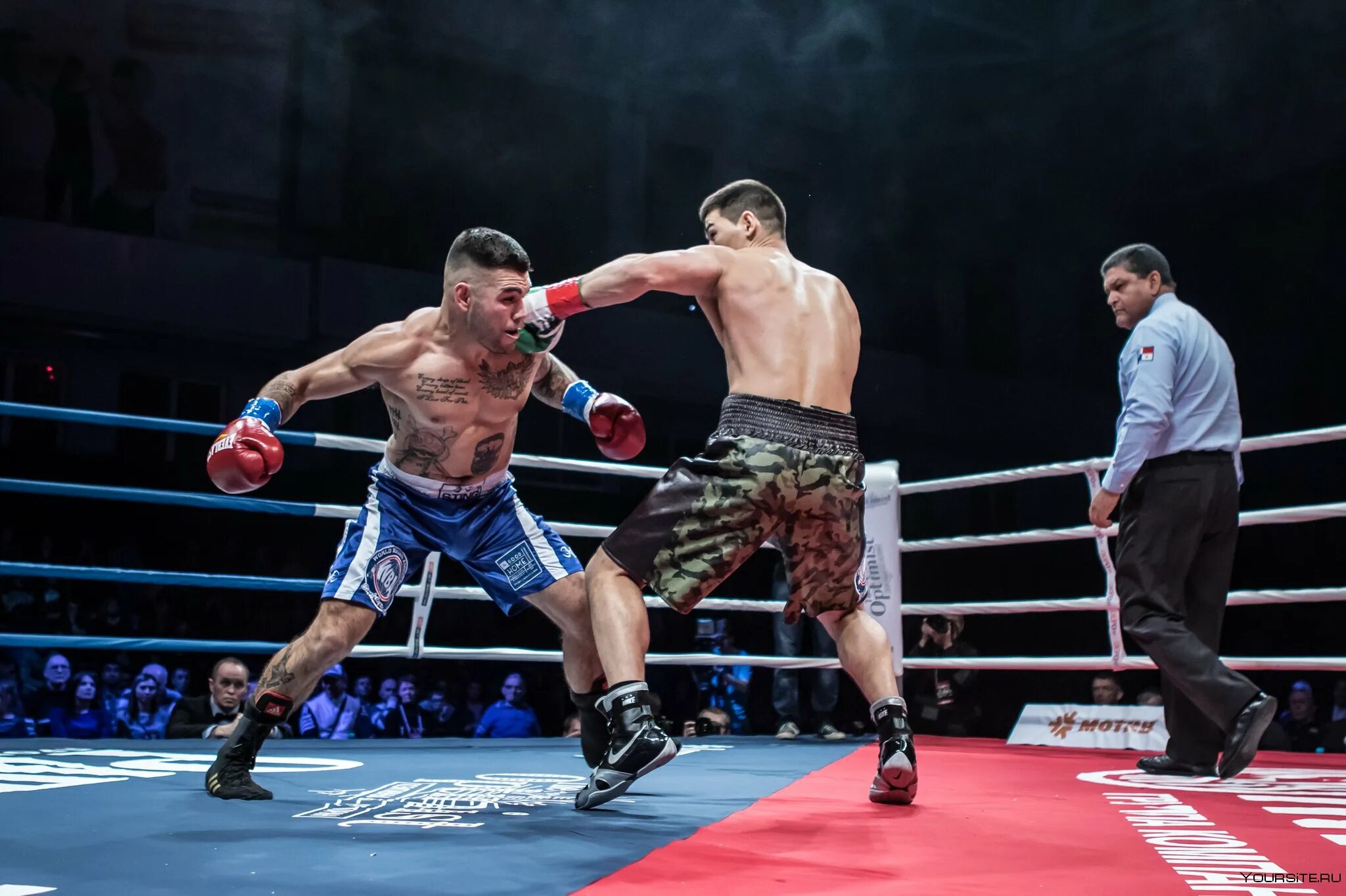 Вечер профессионального бокса. Бивол бетербиев бой. Габил мамедов бокс. Бокс чемпионат мира екатеринбург. Ставки на бокс.