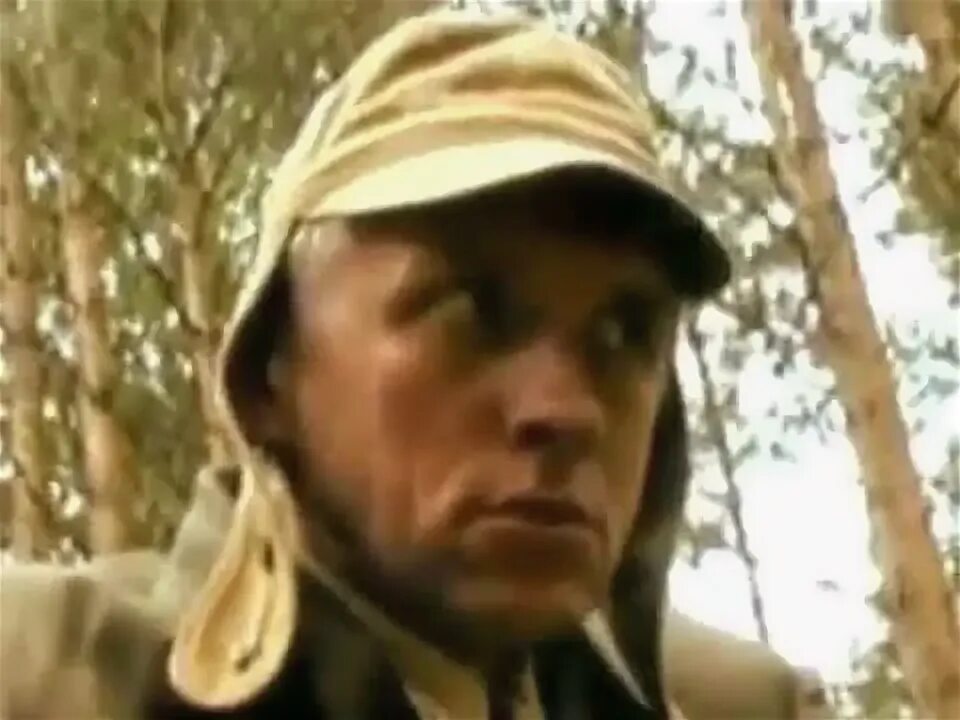 Полуэльфы днд. Аукцыон старый следопыт. Старый следопыт. Мой старый следопыт. Старый следопыт.