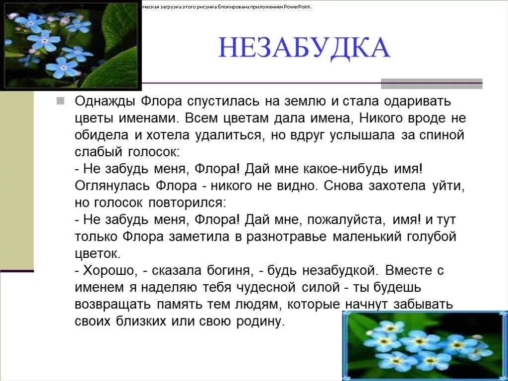 Мифы о цветах. Легенды о цветах. Легенды о цветах в рассказах. Сказочная история про цветок.