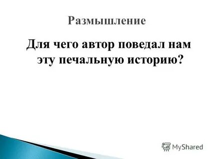О чем поведал автор