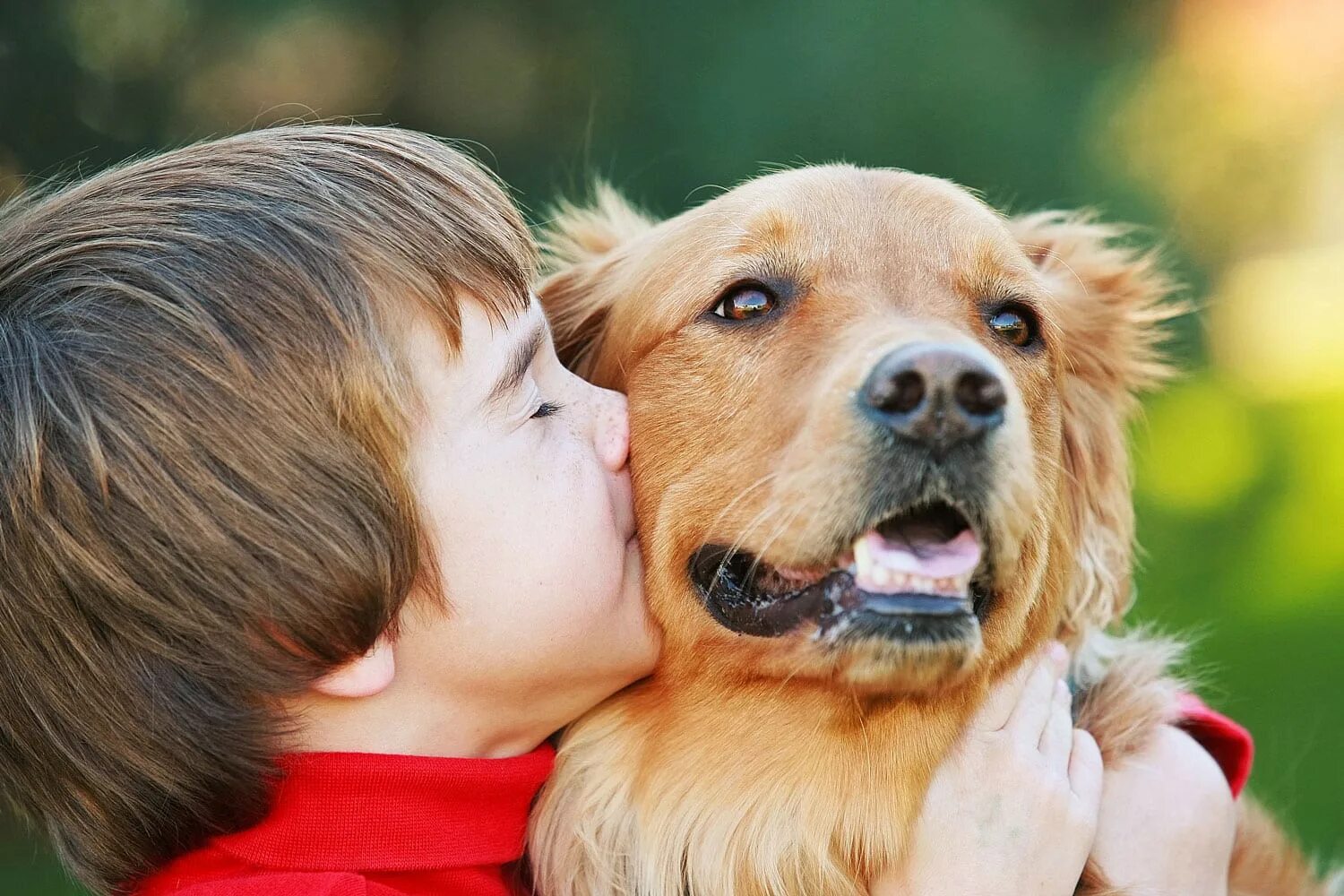 Собака и человек стали друзьями. Домашние питомцы. Для детей. Животные. Собака друг человека. Домашние животные для детей.