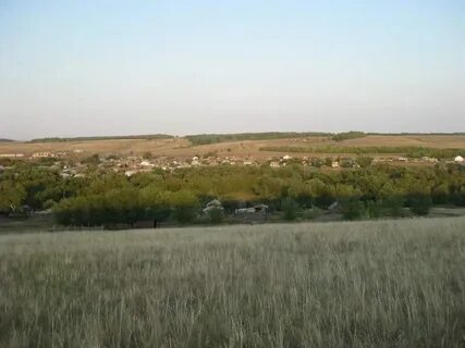 Погода первомайский оренбургская область село сергиевка