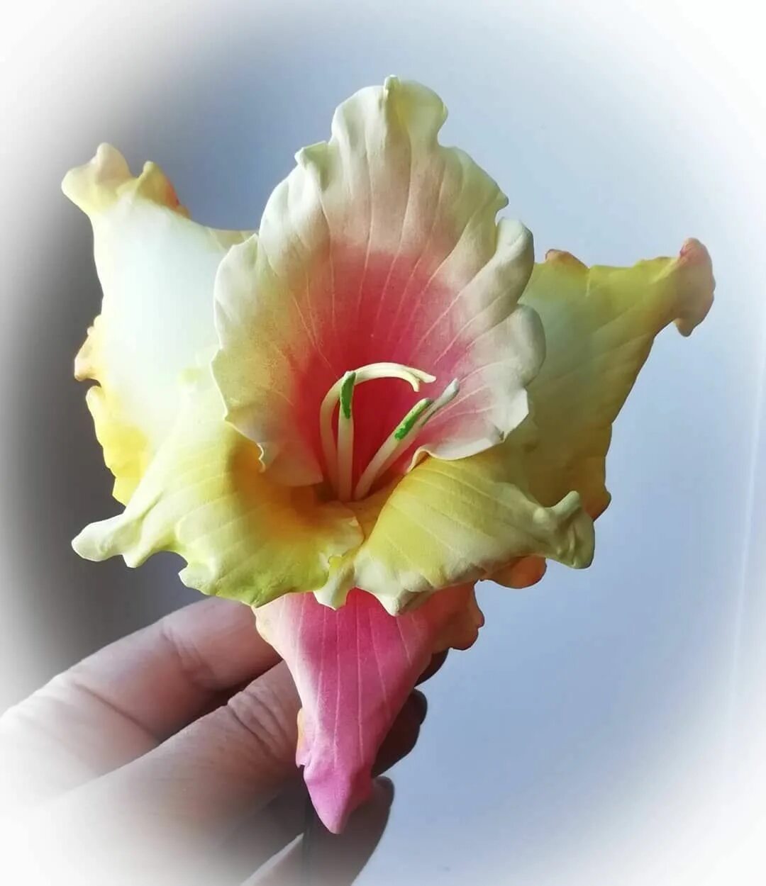 мк гладиолусы из фоамирана. гладиолус мк фоамиран. гладиолус из фоамирана. гладиолусы изолон. гладиолус из фоамирана.